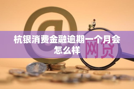 杭银消费金融逾期一个月会怎么样