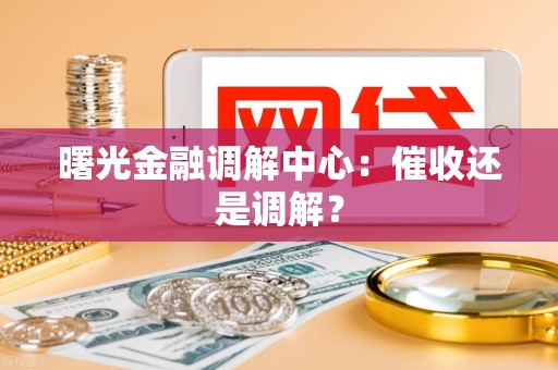 曙光金融调解中心：催收还是调解？