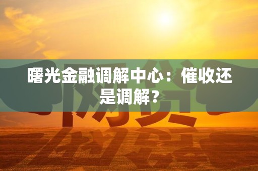 曙光金融调解中心:催收还是调解?