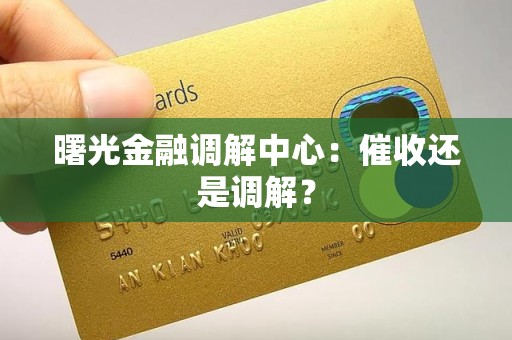 曙光金融调解中心:催收还是调解?