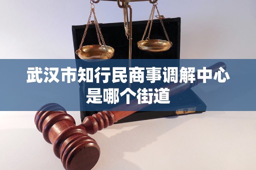 武汉市知行民商事调解中心是哪个街道