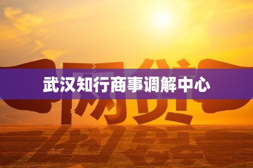 武汉知行商事调解中心