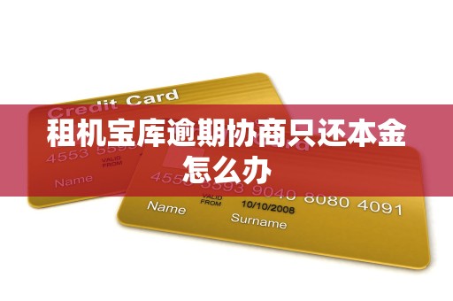 租机宝库逾期协商只还本金怎么办