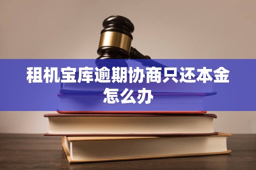 租机宝库逾期协商只还本金怎么办