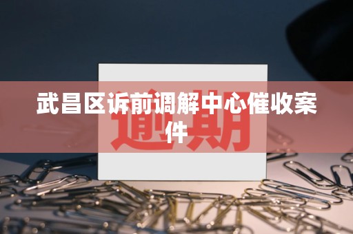 武昌区诉前调解中心催收案件