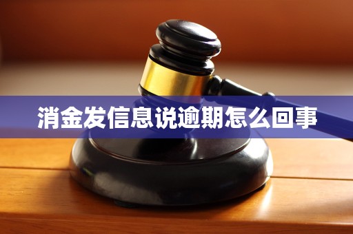 消金发信息说逾期怎么回事