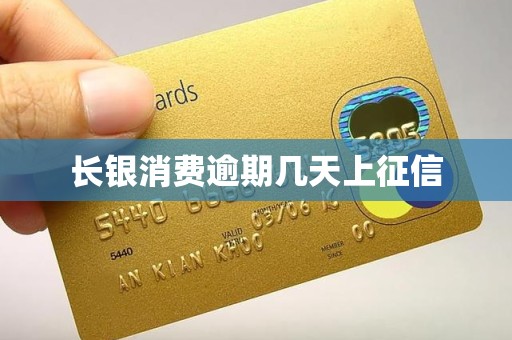 长银消费逾期几天上征信