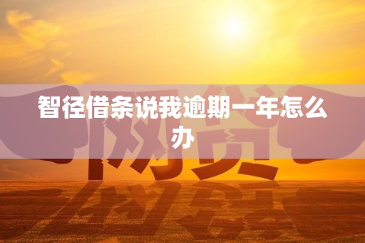 智径借条说我逾期一年怎么办