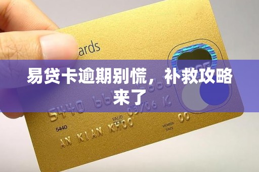 易贷卡逾期别慌,补救攻略来了