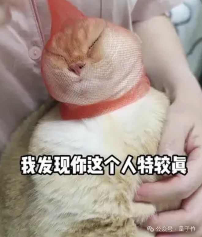 中国机器人比赛应急救援,美国网友破防:我们还在给机器狗拍段子