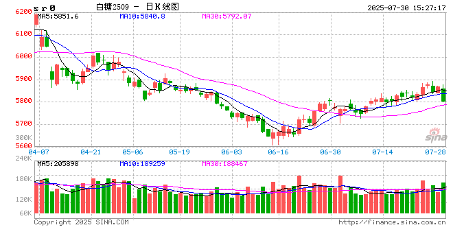 光大期货：7月30日软商品日报