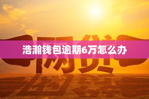 浩瀚钱包逾期6万怎么办