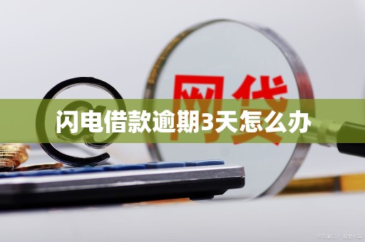 闪电借款逾期3天怎么办