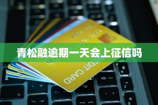 青松融逾期一天会上征信吗