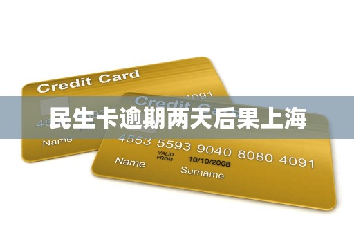 民生卡逾期两天后果上海