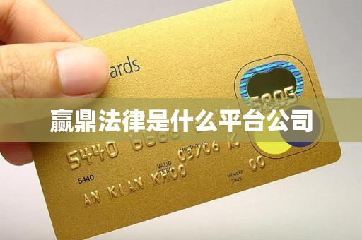 赢鼎法律是什么平台公司