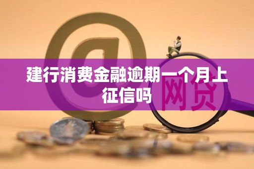 建行消费金融逾期一个月上征信吗