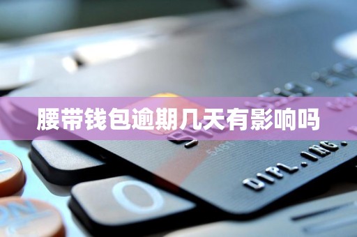 腰带钱包逾期几天有影响吗