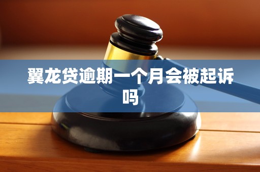 翼龙贷逾期一个月会被起诉吗